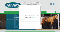 Desktop Screenshot of chicksagway.com
